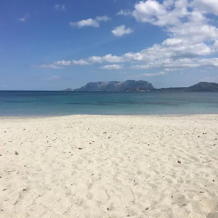 Terranova 3*